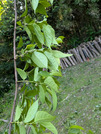 PXL_20260529_073008966