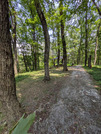 PXL_20260731_024558140