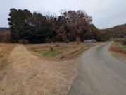 PXL_20251203_031151842