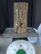 PB060023