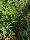 PXL_20260515_040500103
