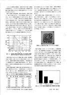 ヤマザクラの開花・結実の特徴と種子の取り扱い方_2