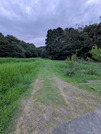 PXL_20260729_095842909