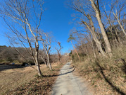 PXL_20260116_035635856