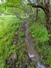 PXL_20260427_032516689