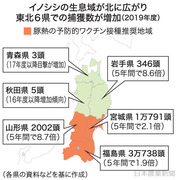イノシシ東北に猛進（日本農業新聞）