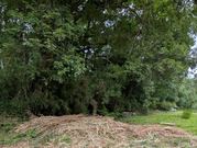 PXL_20260528_035244449