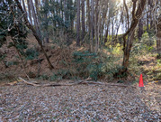 PXL_20260109_012225930