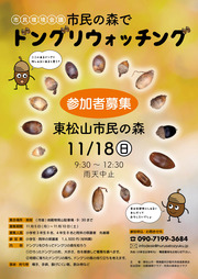 ドングリチラシ