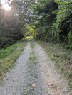 PXL_20260729_080043475