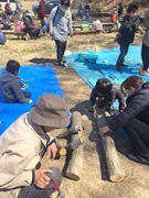 シイタケ駒打ち 324_190325_0019