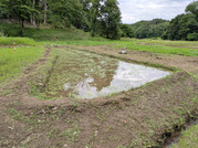 PXL_20260609_075009507