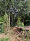 PXL_20260828_050748841