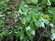 PXL_20260823_020108148