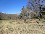 P3250002