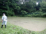 P6100005