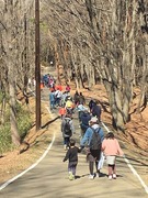 シイタケ駒打ち 324_190325_0004