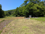 PXL_20260510_021421389