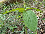 PXL_20260516_050103459