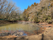 PXL_20260304_012659971