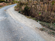 PXL_20251202_021234907