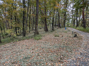 PXL_20251113_022350886