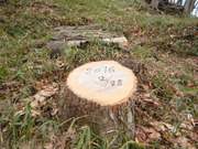 DSCN3126