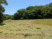 PXL_20260510_021442414