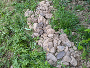 PXL_20260419_073958983