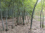 PXL_20260610_024732733
