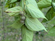 PXL_20260529_072958912