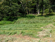 PXL_20260731_051657375