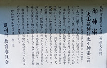 PXL_20260617_033415522