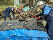 PXL_20251122_235034472