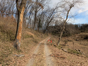 PXL_20260125_021502227