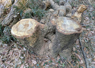 PXL_20260118_044656333