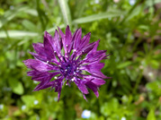 PXL_20260409_025736611