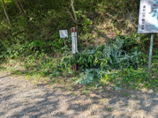 PXL_20260516_225215352