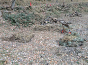 PXL_20251212_233506311