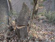 PXL_20260118_051200715