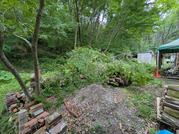 PXL_20260605_000521549