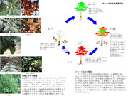 小平市緑化推進委員会資料_03
