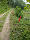 PXL_20260508_024705140