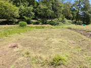 PXL_20260510_021359044