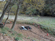 PXL_20251122_234351123