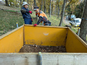 PXL_20251123_024806164