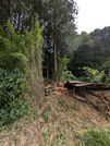PXL_20260828_050755801