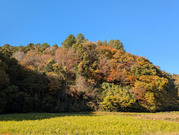 PXL_20251120_234811697