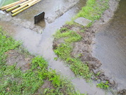 DSC09734