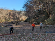 PXL_20260106_022829089